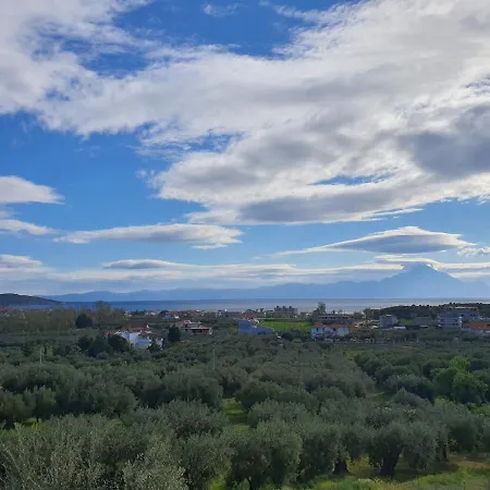 Sartivista