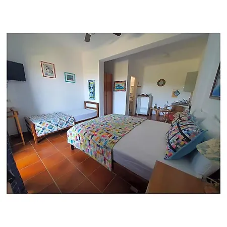 Sartivista 4*