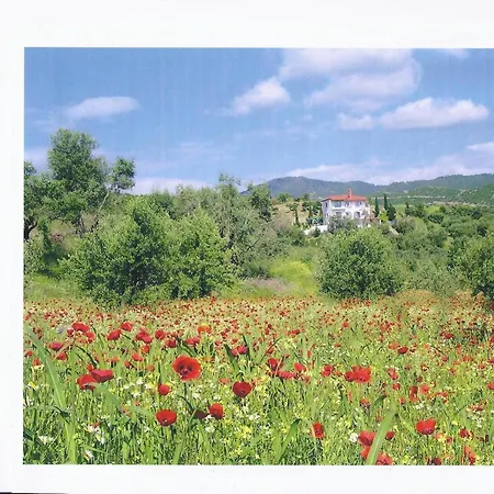 Sartivista 4* Сарти