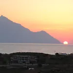 Sartivista Sarti