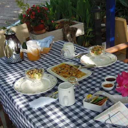 Sartivista سارتي