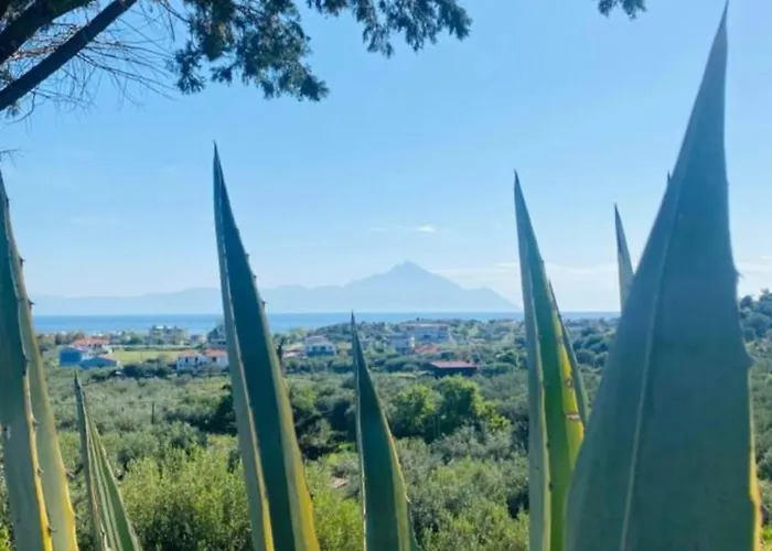 Sartivista 4* 사르티